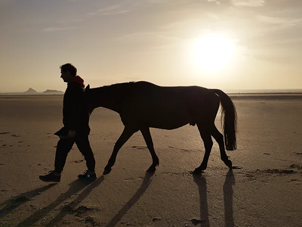 un client marche au coucher du soleil avec un cheval dans le sable de la baie du Mont Saint-Michel