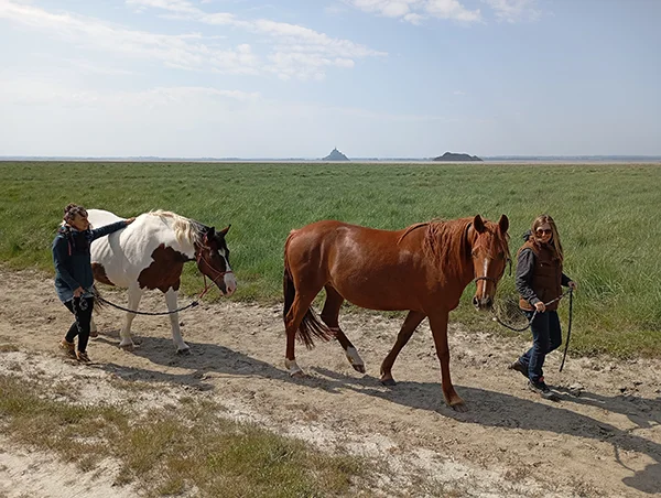 Karine Grueau lors de ses marches Afghane méditatives avec les chevaux dans la baie du Mont Saint-Michel