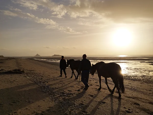 Clients lors d'une de ses marches méditatives avec les chevaux dans la Baie du Mont Saint-Michel