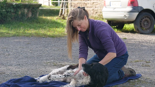 Chien détendu lors d’une séance de shiatsu canin avec Karine Grueau en Normandie