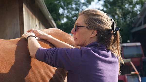 Karine Grueau pratiquant un shiatsu équin