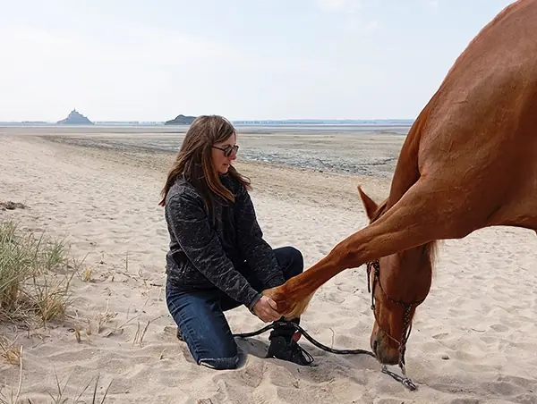 Karine Grueau pratique un shiatsu sur un cheval dans la baie du Mont Saint-Michel