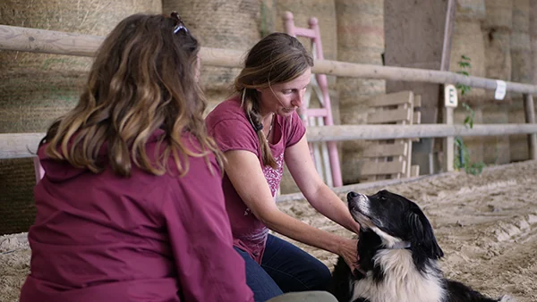 Karine Grueau en séance de shiatsu canin